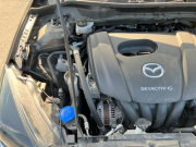 MAZDA2019