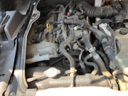 ﾎﾞﾝｺﾞﾄﾗｯｸ020