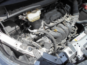 ｳﾞｫｸｼｰ019