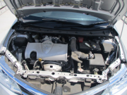 ｶﾛｰﾗｱｸｼｵ018