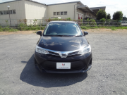 ｶﾛｰﾗﾌｨｰﾙﾀﾞｰ001