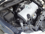 ｶﾛｰﾗﾌｨｰﾙﾀﾞｰ019