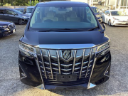 ｱﾙﾌｧｰﾄﾞ002