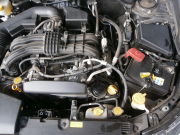 ｲﾝﾌﾟﾚｯｻｽﾎﾟｰﾂ020